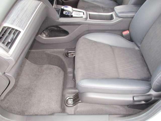 ����ȑ���