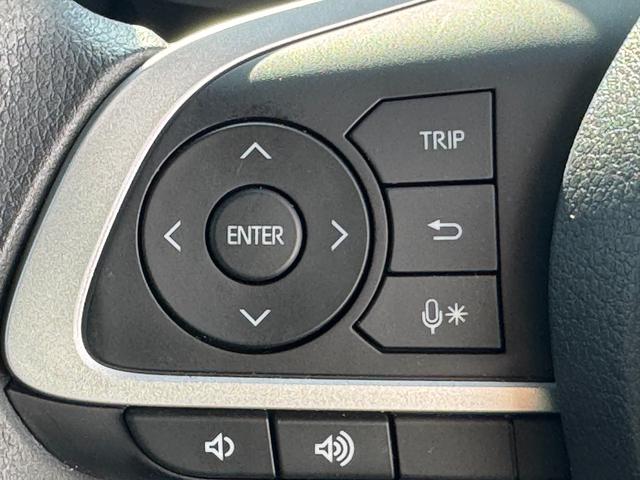 ロッキー Ｇ　純正フルセグナビ　ドラレコ　バックモニター（22枚目）