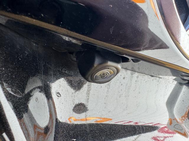 ロッキー Ｇ　純正フルセグナビ　ドラレコ　バックモニター（25枚目）