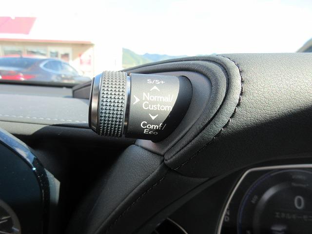 ＬＳ ＬＳ５００ｈ　エグゼクティブ　後期モデル　走行距離８．９８５キロ　サンルーフ　Ｌ－アニリン本革エアーシート　純正２０インチアルミ　リアエンターテインメント　マークレビンソン　後席オットマン／リラクゼーション　純正１２．３型ナビ（13枚目）