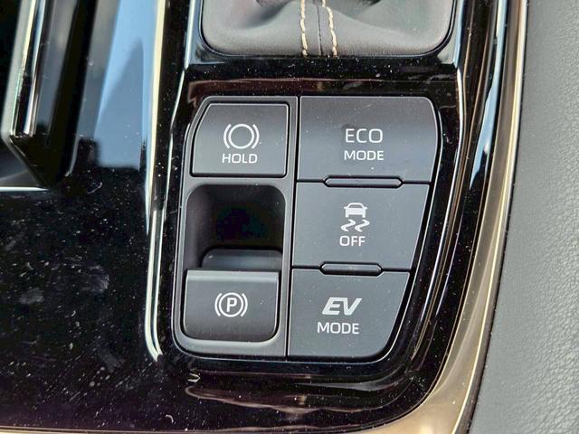 アルファードハイブリッド Ｚ　モデリスタエアロ／グリル／マフラー　純正１９インチエグゼクティブ用アルミ　左右独立ムーンルーフ　レザーシート／シートヒーター　全方位モニター　純正１４型ナビ　３６０°ドライブレコーダー　スマートキー（29枚目）