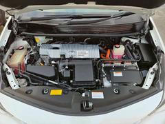 �ץꥦ������ե� �ӥġ���󥰥��쥯����󡡶ر�֡������̥�˥����������ʥӡ��ե륻�� 0800513A30260222W004 3