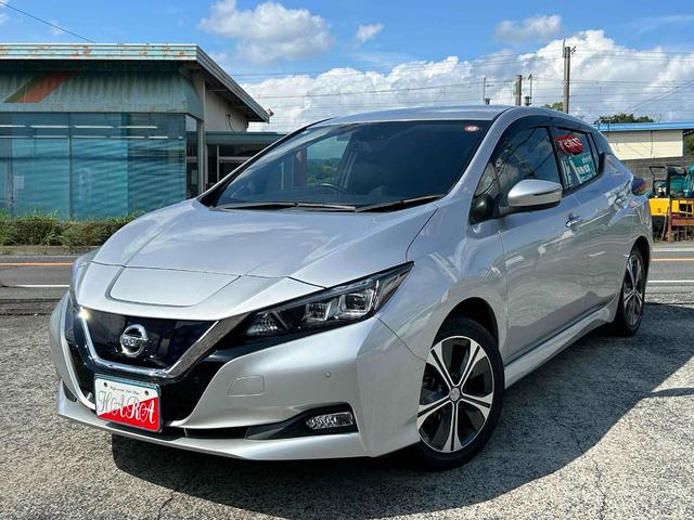 リーフ Ｘ　シートヒーター　ステアリングヒーター　プロパイロット　デジタルミラー　バックカメラ　ＥＴＣ　禁煙車　純正ナビＴＶ（3枚目）