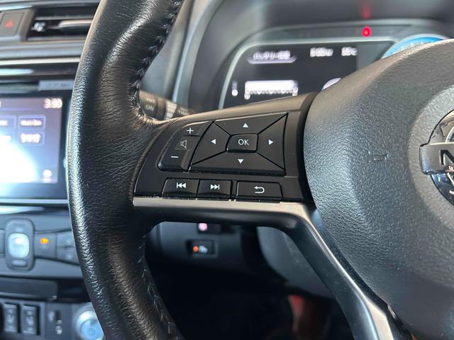 リーフ Ｘ　シートヒーター　ステアリングヒーター　プロパイロット　デジタルミラー　バックカメラ　ＥＴＣ　禁煙車　純正ナビＴＶ（34枚目）