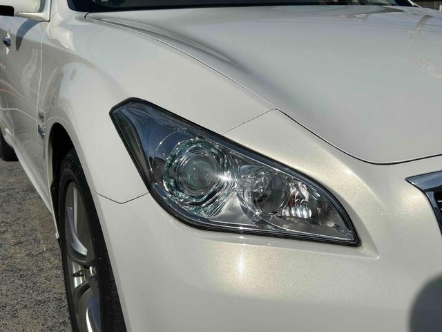 �w�b�h���C�g�R���f�B�V�����ǍD�ł��I