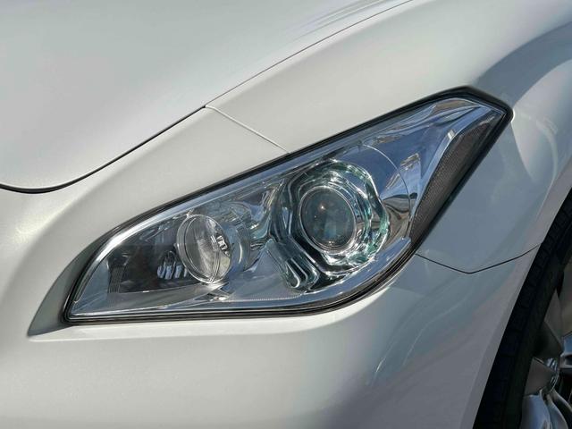 �w�b�h���C�g�R���f�B�V�����ǍD�ł��I