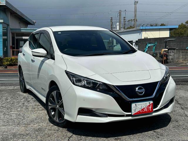 ���������܂��Đ��ɂ��肪�Ƃ�������܂��I�l�C�̃��[�t����ɒv���܂����I�����A�O�����ɃR���f�B�V�����ǍD�ȂP��ł��I�������̍ۂ͂��C�y�ɂ��₢���킹���������I