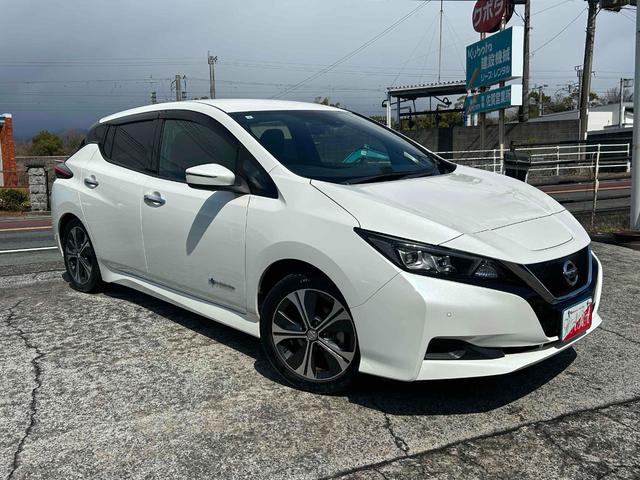 �l�C�̃p�[���J���[�ł��I�O���R���f�B�V�����ǍD�ł��I