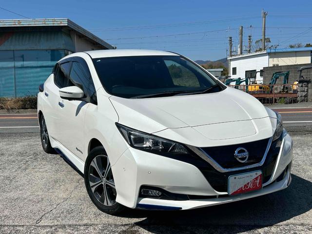 ���������܂��Đ��ɂ��肪�Ƃ�������܂��I�l�C�̃��[�t����ɒv���܂����I�����A�O�����ɃR���f�B�V�����ǍD�ȂP��ł��I�������̍ۂ͂��C�y�ɂ��₢���킹���������I