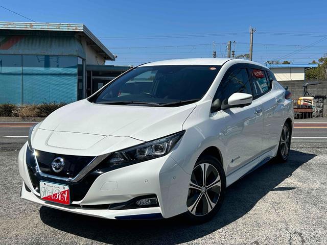 �l�C�̃p�[���J���[�ł��I�O���R���f�B�V�����ǍD�ł��I