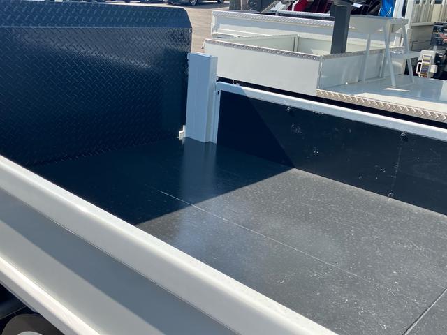 キャンターガッツ Ｗキャブパワーゲート（17枚目）