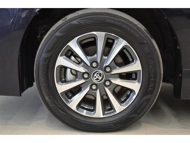 ���S�Q�D���ԗ������ؖ����t�����@�g���^�F��ԗ��������ɂ�錵���Ȍ����I�C�����͂������A�킸���ȃL�Y�����������`�����܂��I�@�N���}�̏�Ԃ��ЂƂ߂ł킩��܂��B