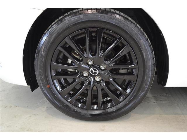 ���S�Q�D���ԗ������ؖ����t�����@�g���^�F��ԗ��������ɂ�錵���Ȍ����I�C�����͂������A�킸���ȃL�Y�����������`�����܂��I�@�N���}�̏�Ԃ��ЂƂ߂ł킩��܂��B