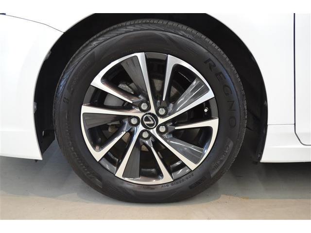 ���S�Q�D���ԗ������ؖ����t�����@�g���^�F��ԗ��������ɂ�錵���Ȍ����I�C�����͂������A�킸���ȃL�Y�����������`�����܂��I�@�N���}�̏�Ԃ��ЂƂ߂ł킩��܂��B