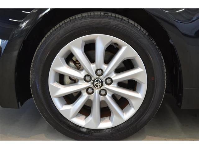 ���S�Q�D���ԗ������ؖ����t�����@�g���^�F��ԗ��������ɂ�錵���Ȍ����I�C�����͂������A�킸���ȃL�Y�����������`�����܂��I�@�N���}�̏�Ԃ��ЂƂ߂ł킩��܂��B