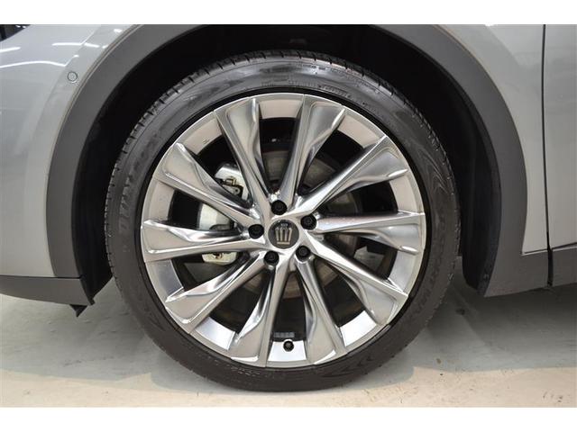 ���S�Q�D���ԗ������ؖ����t�����@�g���^�F��ԗ��������ɂ�錵���Ȍ����I�C�����͂������A�킸���ȃL�Y�����������`�����܂��I�@�N���}�̏�Ԃ��ЂƂ߂ł킩��܂��B