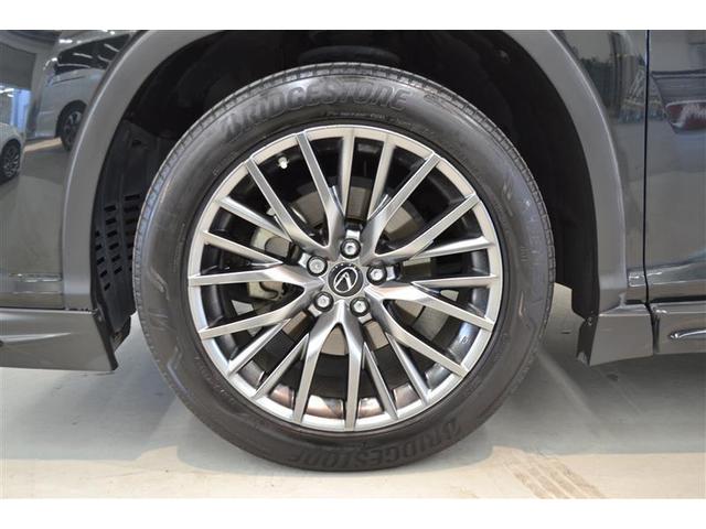 ���S�Q�D���ԗ������ؖ����t�����@�g���^�F��ԗ��������ɂ�錵���Ȍ����I�C�����͂������A�킸���ȃL�Y�����������`�����܂��I�@�N���}�̏�Ԃ��ЂƂ߂ł킩��܂��B