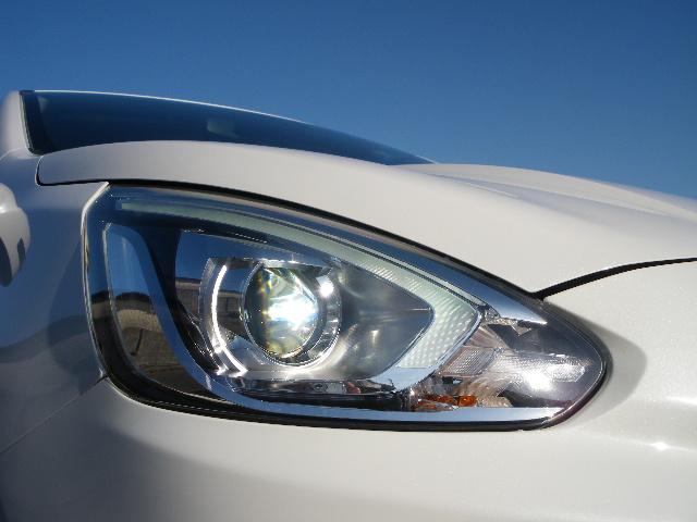 �����g�h�c�w�b�h���C�g