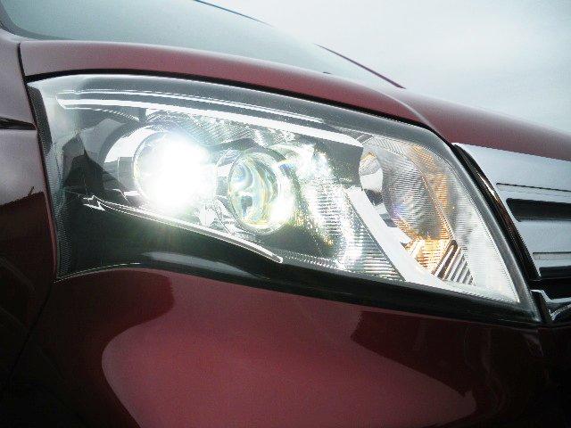 �����k�d�c�w�b�h���C�g