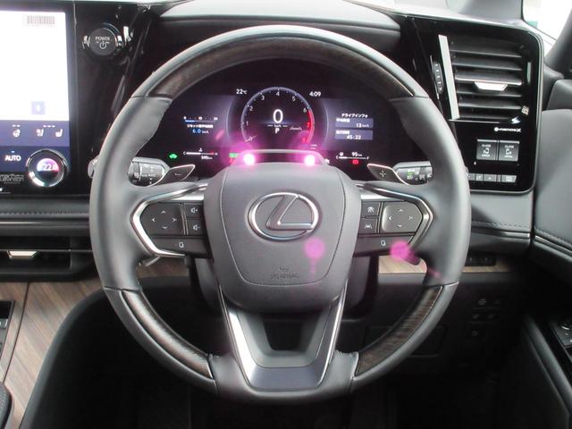 LM LM500h エグゼクティブ 1オーナー モデリスタエアロ マークレビンソン 48インチリヤエンターテイメント ユニバーサルステップ 調光機能付きパーティション 寒冷地仕様 MOPドライブレコーダー(59枚目)