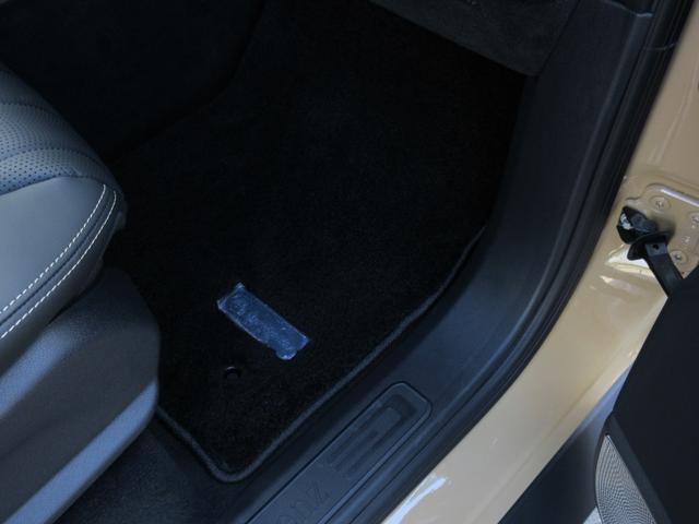 Ｇクラス Ｇ４００ｄ　プロフェッショナルエディション　限定５０台（左Ｈ／デザートサンド）　プロフェッショナルルーフラック＆ラダー＆スペアタイヤホルダー　ＡＭＧナイトＰＫＧ＆ナイトＰＫＧＩＩ　純正デジタルインナーミラー（41枚目）