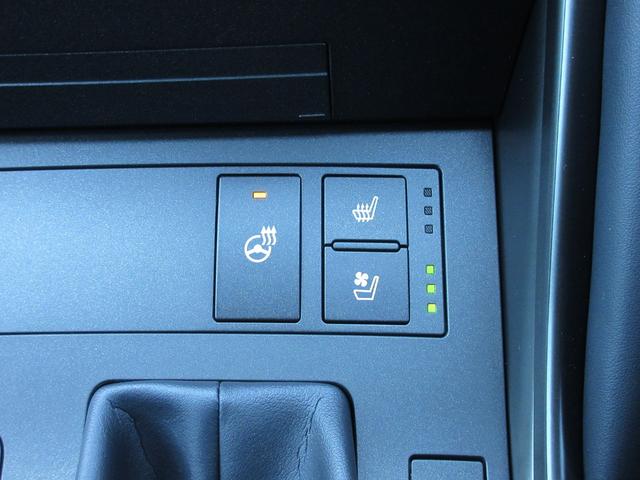 IS IS300 FスポーツモードブラックIII 特別仕様車 ムーンルーフ 19インチ鍛造AW オレンジキャリパー パノラミックビューモニター 三眼LEDヘッドランプ ウルトラスエード&Ltexシート(ヒーター&ベンチレーター)(45枚目)