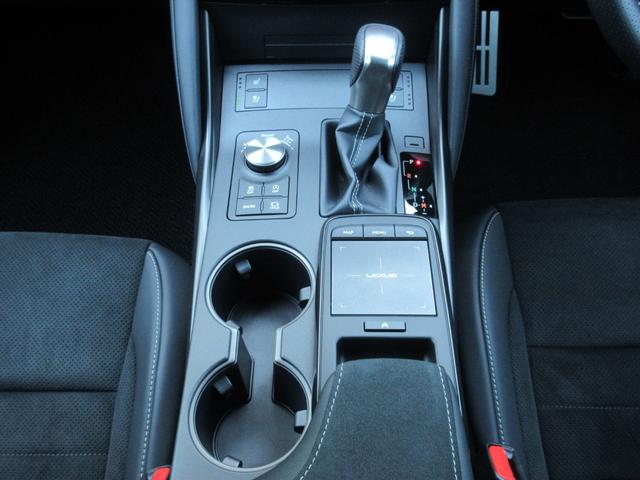 IS IS300 FスポーツモードブラックIII 特別仕様車 ムーンルーフ 19インチ鍛造AW オレンジキャリパー パノラミックビューモニター 三眼LEDヘッドランプ ウルトラスエード&Ltexシート(ヒーター&ベンチレーター)(46枚目)