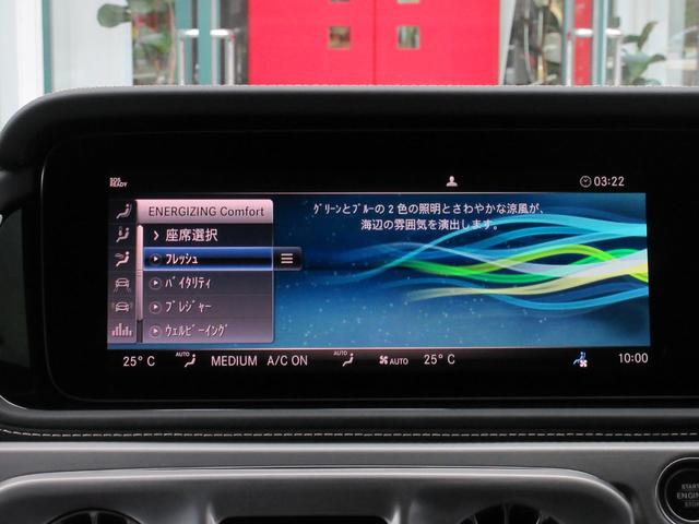 Gクラス G400d プロフェッショナルエディション 限定200台(右H/デザートサンド) プロフェッショナルルーフラック&ラダー&スペアタイヤホルダー AMGナイトPKG AMGナイトPKGII(54枚目)