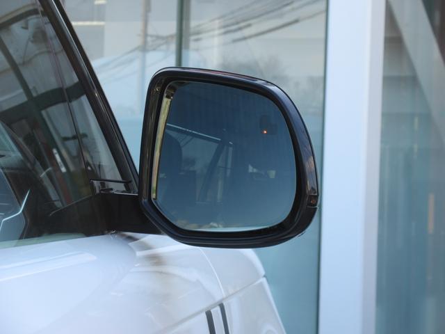 �u���C���h�X�|�b�g�A�V�X�g