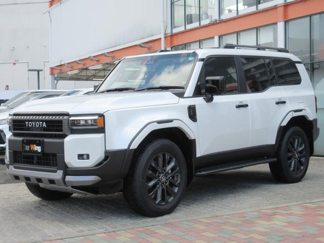 �I�v�V�����{�f�B�J���[�F�v���`�i�z���C�g�p�[���}�C�J�i�O�W�X�j