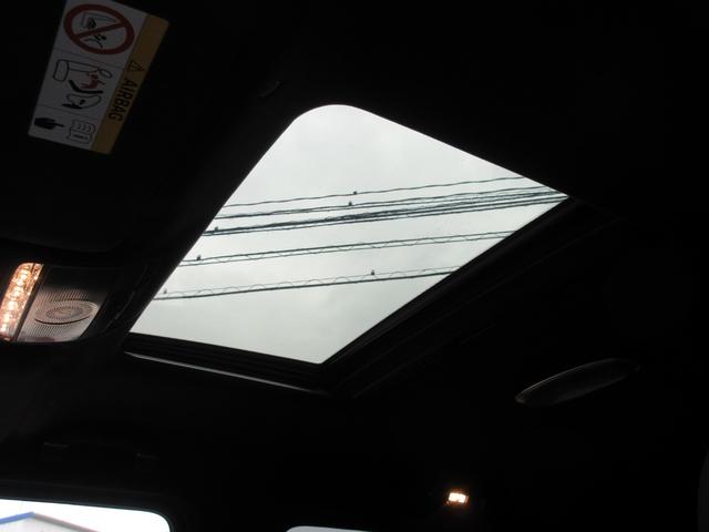 �K���X�X���C�f�B���O���[�t