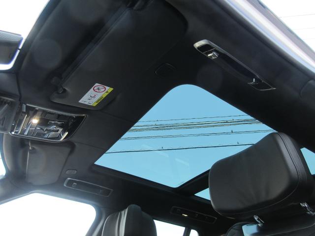 �w�b�h���C�j���O�i�G�{�j�[���U�[�j