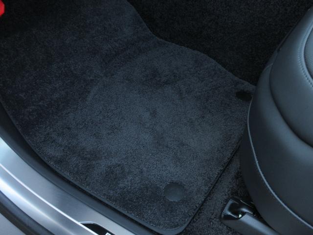 �J�[�y�b�g�i�G�{�j�[�j