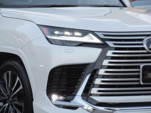 �O��t���k�d�c�w�b�h�����v�i���[�E�n�C�r�[���j���k�d�c�t�����g�^�[���V�O�i�������v�@�w�b�h�����v�N���[�i�[