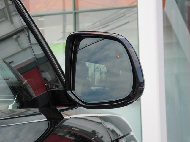 �u���C���h�X�|�b�g�A�V�X�g