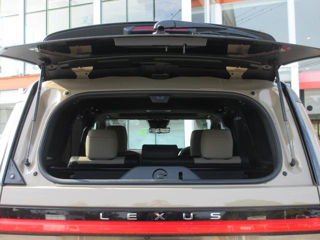 �o�b�N�h�A�K���X�n�b�`