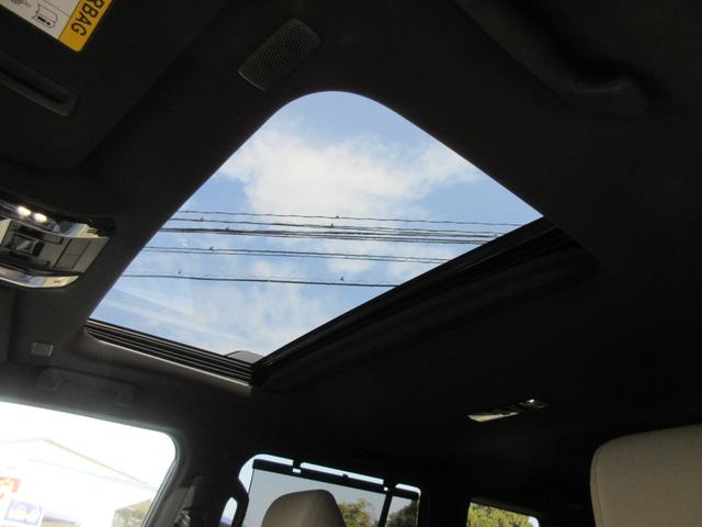 ���[�����[�t�i�`���g���X���C�h���j