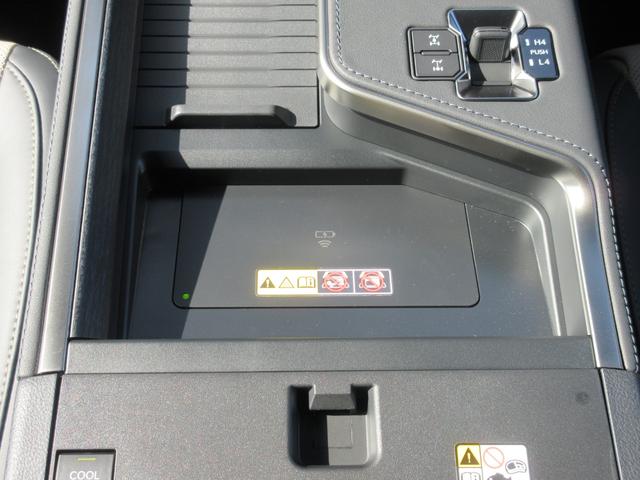 ���������[�d�i�Z���^�[�R���\�[���g���C