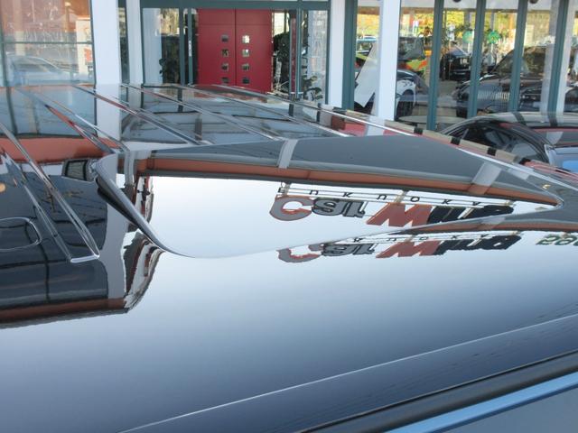 �K���X�X���C�f�B���O���[�t