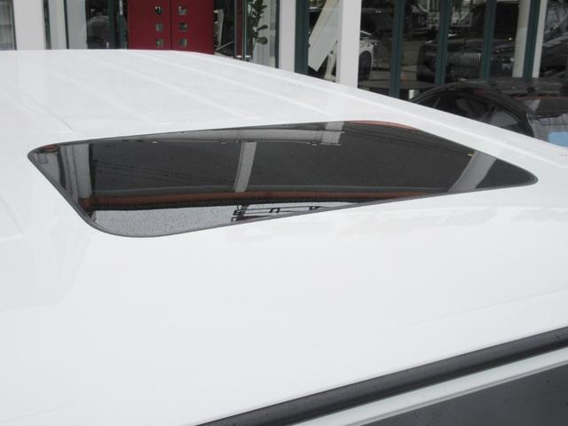 �K���X�X���C�f�B���O���[�t