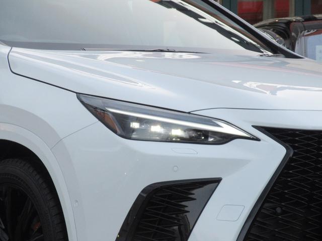 �O��t���k�d�c�w�b�h���C�g�i���[�E�n�C�r�[���j�{�A�_�v�e�B�u�n�C�r�[���V�X�e���m�`�g�r�n�{�w�b�h�����v�N���[�i�[�{�k�d�c�R�[�i�����O�����v