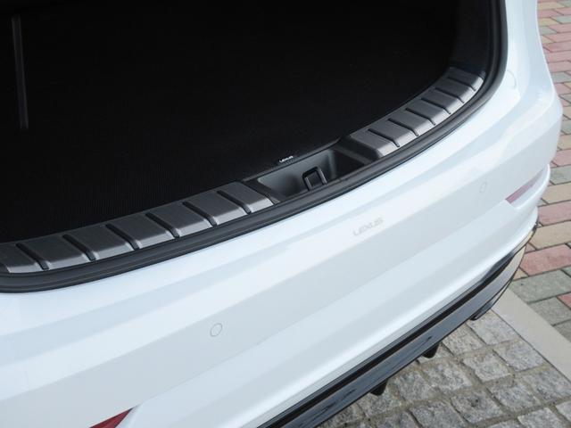 �I�v�V�����F�v���e�N�V�����t�B�����i�����o���p�[�j