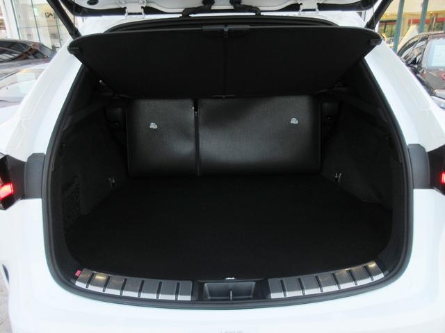 �I�v�V�����F���Q�[�W�g���C