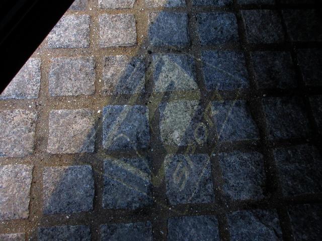 �I�v�V�����F�v���W�F�N�V�����J�[�e�V�C���~�i�e�@�r�o�n�q�s�r���S�j