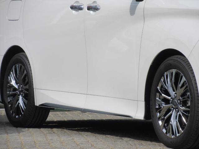 �Q�Q�T�^�T�T�q�P�X�^�C�����P�X×�V�i�A���~�z�C�[���i�V���o�[�X�p�b�^�����O�h���j