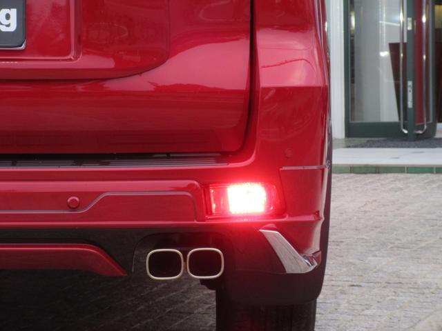 �����t�H�O�����v�i���E�j