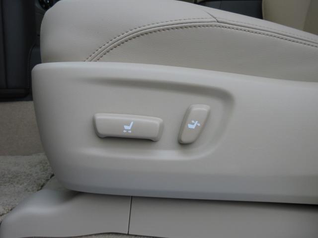 �t�����g�p���[�V�[�g�i�^�]�ȂW�E�F�C�E����ȂS�E�F�C�j�@�d�������o�[�T�|�[�g�i�^�]�ȁj