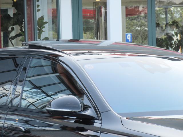 �p�m���~�b�N�X���C�f�B���O���[�t