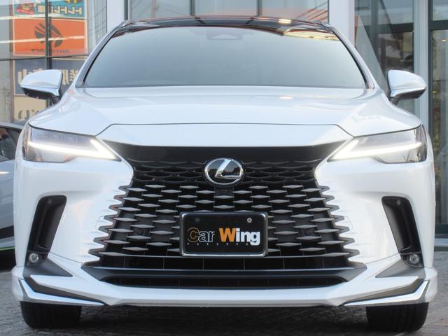 �R�T�O�@���������������@�k�@�`�v�c�@���ɒv���܂����B