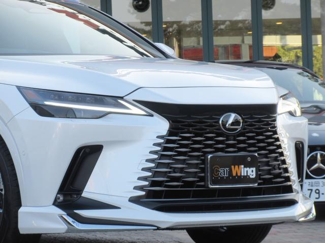 �I�v�V�����F�l�n�c�d�k�k�h�r�s�`�A�h�o���X�g���O�W���A���[�p�b�P�[�W�i�t�����g�X�|�C���[�j